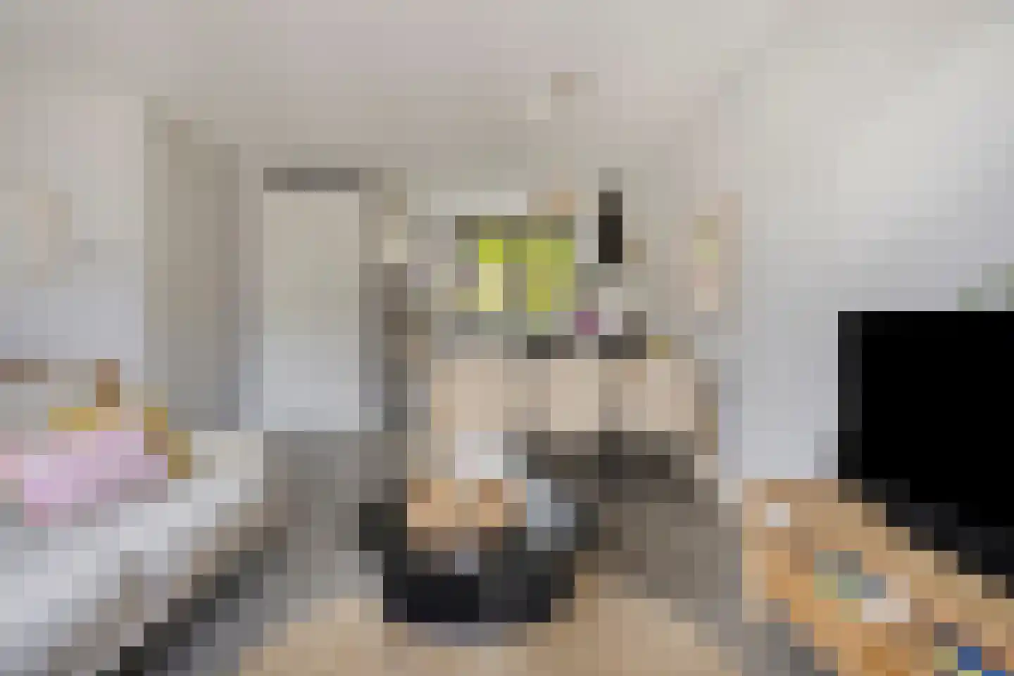 Methorstheem 51 Veenendaal thumbnail 12
