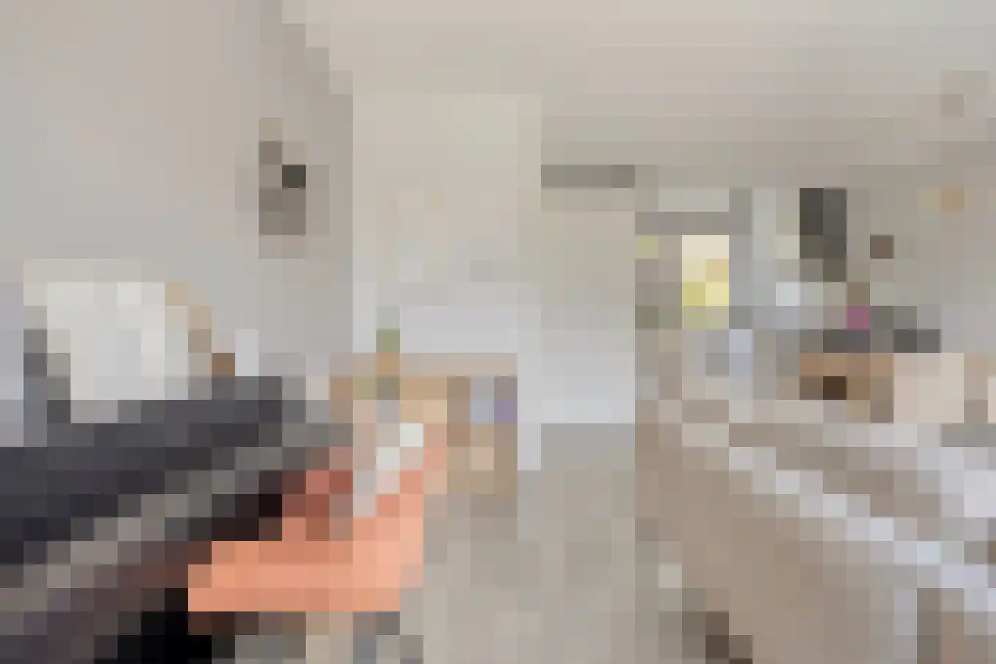 Methorstheem 51 Veenendaal thumbnail 13
