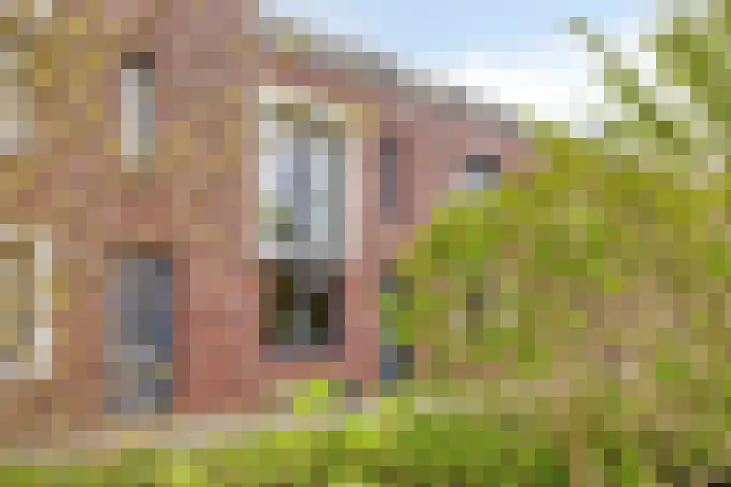 Methorstheem 51 Veenendaal thumbnail 7
