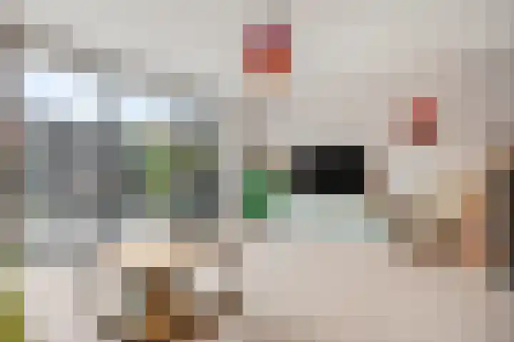 Methorstheem 57 Veenendaal thumbnail 12