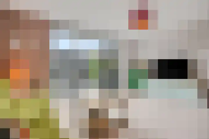 Methorstheem 57 Veenendaal thumbnail 15