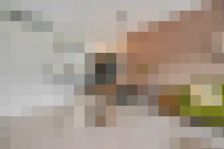 Methorstheem 57 Veenendaal thumbnail 17