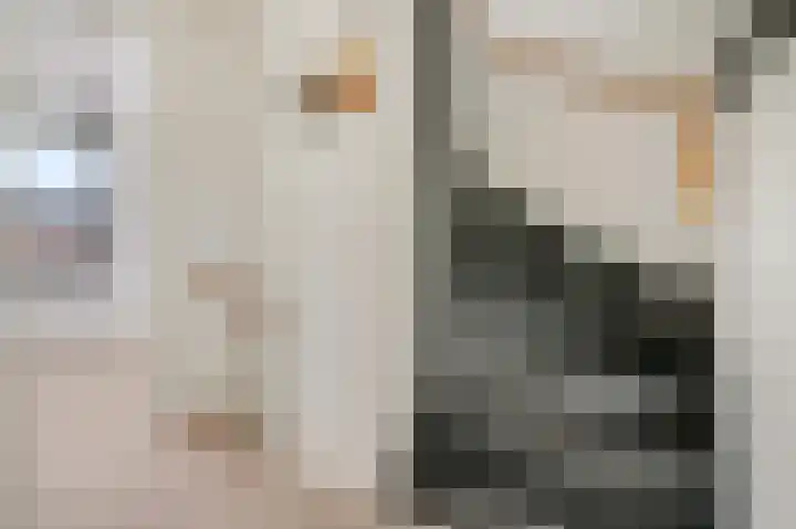 Methorstheem 57 Veenendaal thumbnail 24