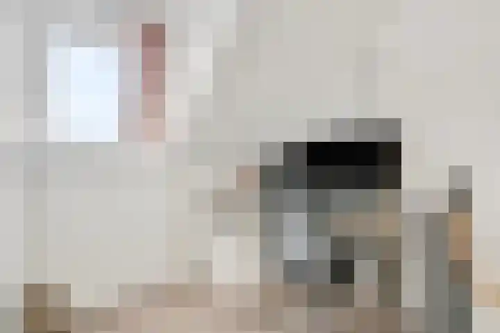 Methorstheem 57 Veenendaal thumbnail 38