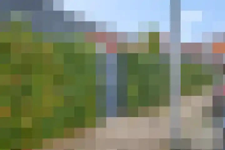 Methorstheem 57 Veenendaal thumbnail 45
