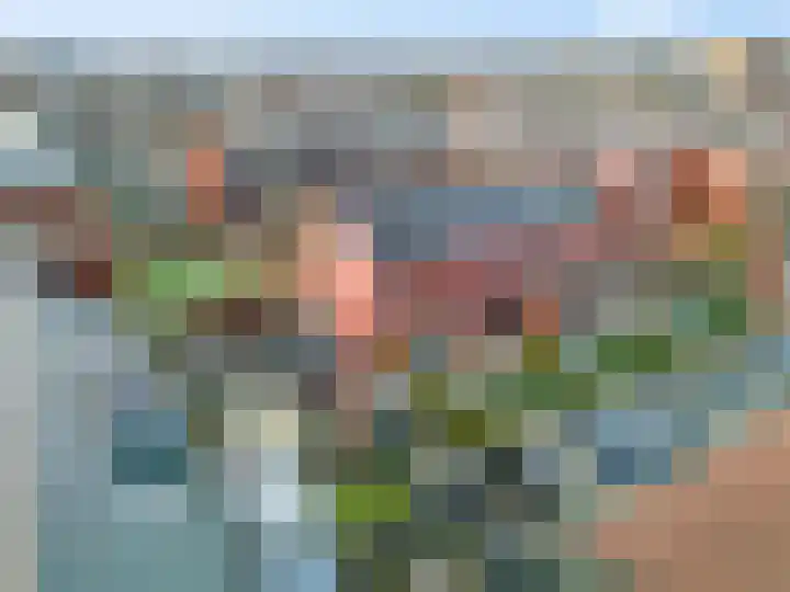 Methorstheem 57 Veenendaal thumbnail 51