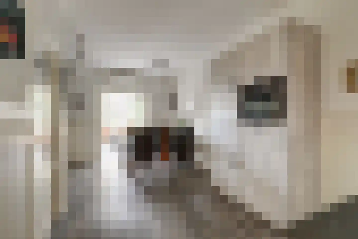 Methusalemlaan 82 Ugchelen thumbnail 20