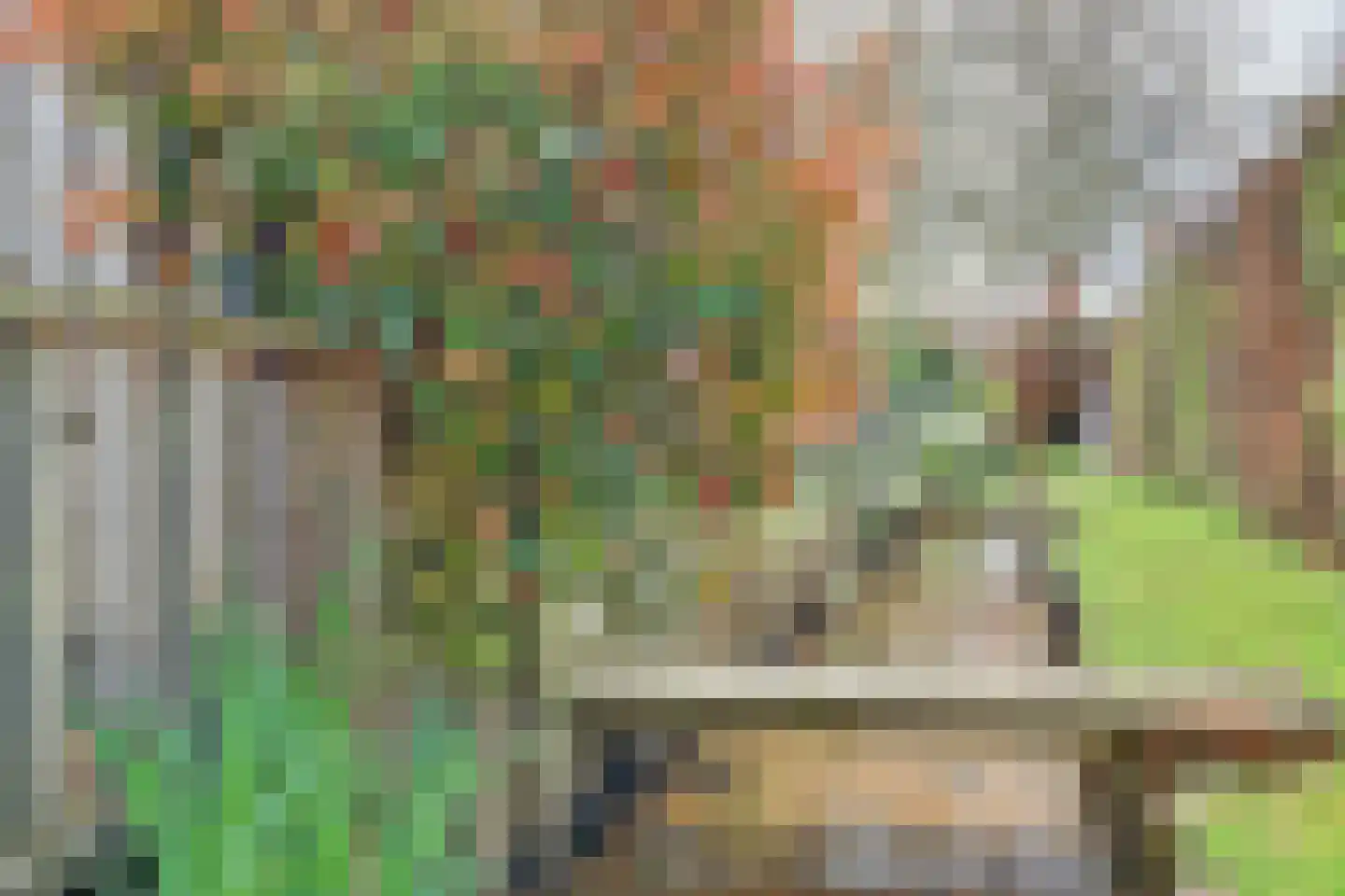 Methusalemlaan 82 Ugchelen thumbnail 57