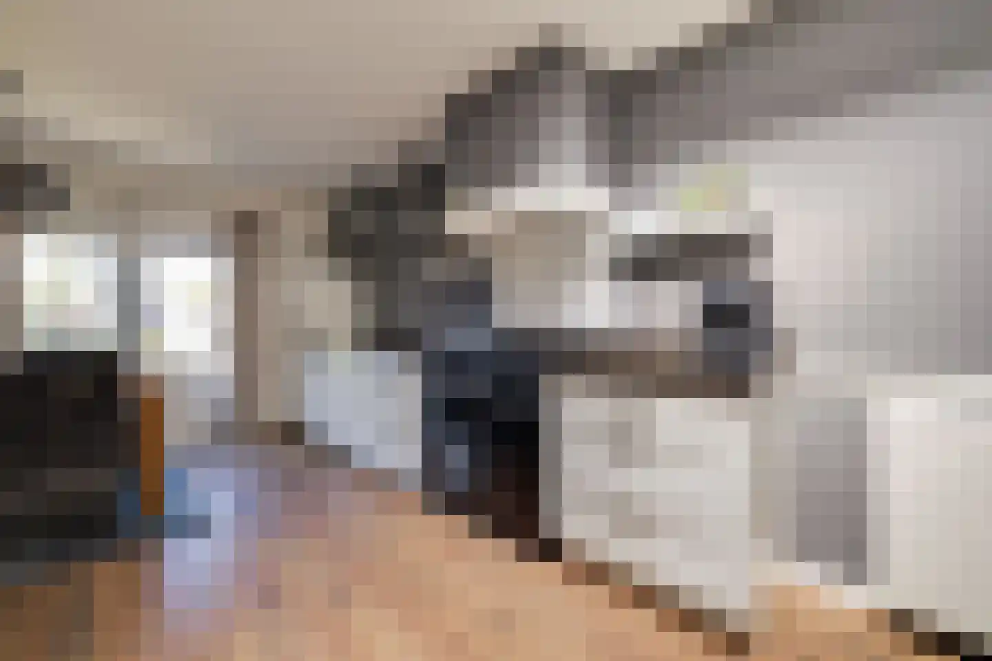 Methusalemlaan 86 Ugchelen thumbnail 10