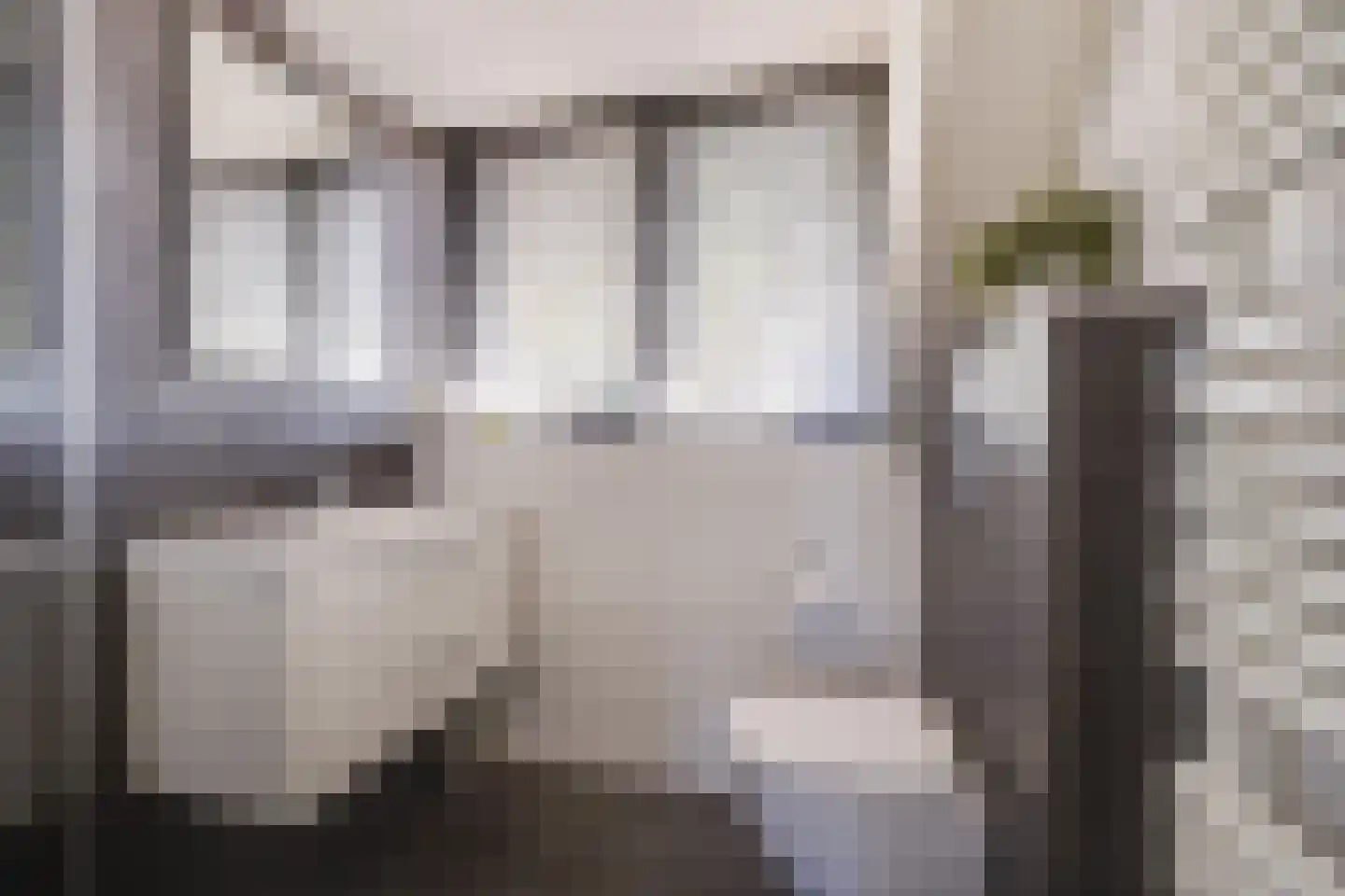Methusalemlaan 86 Ugchelen thumbnail 25