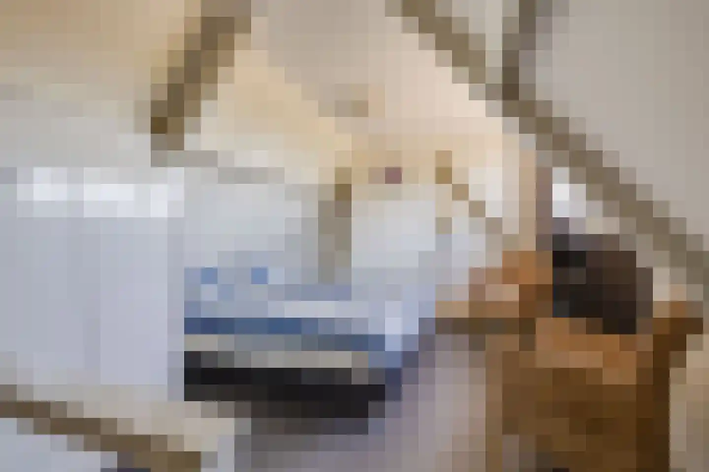 Methusalemlaan 86 Ugchelen thumbnail 29