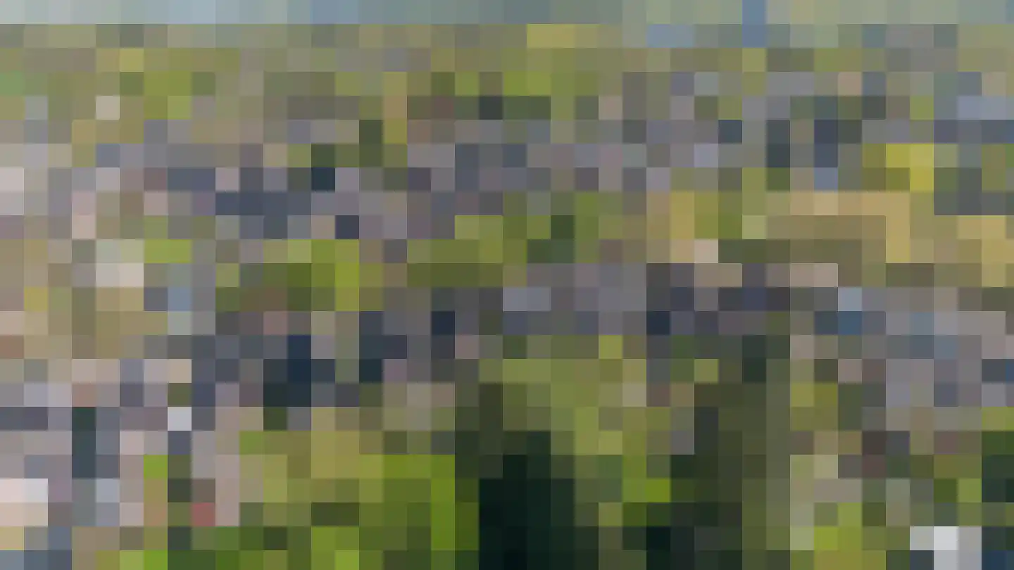Methusalemlaan 86 Ugchelen thumbnail 45