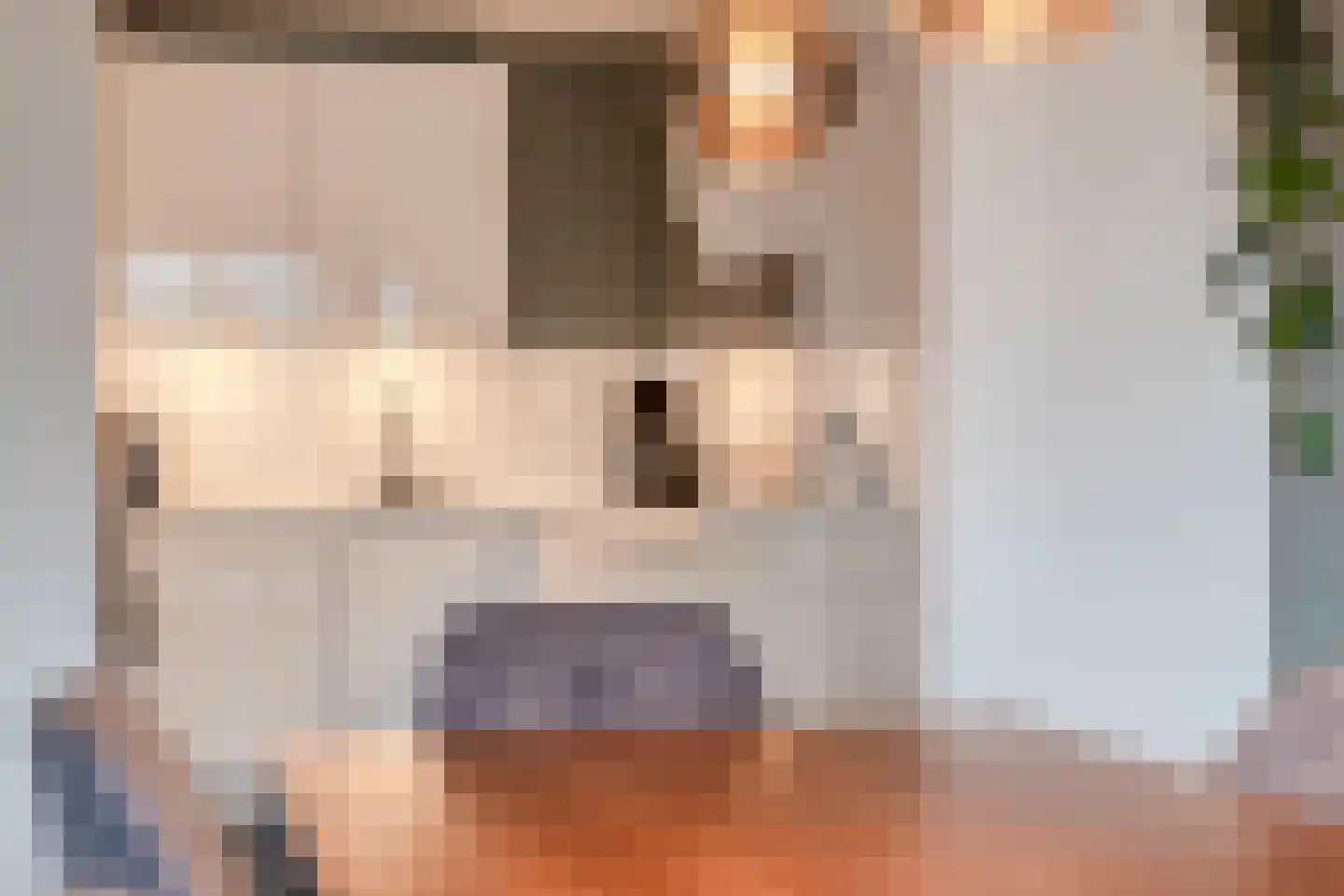 Methusalemplein 17 Eindhoven thumbnail 11