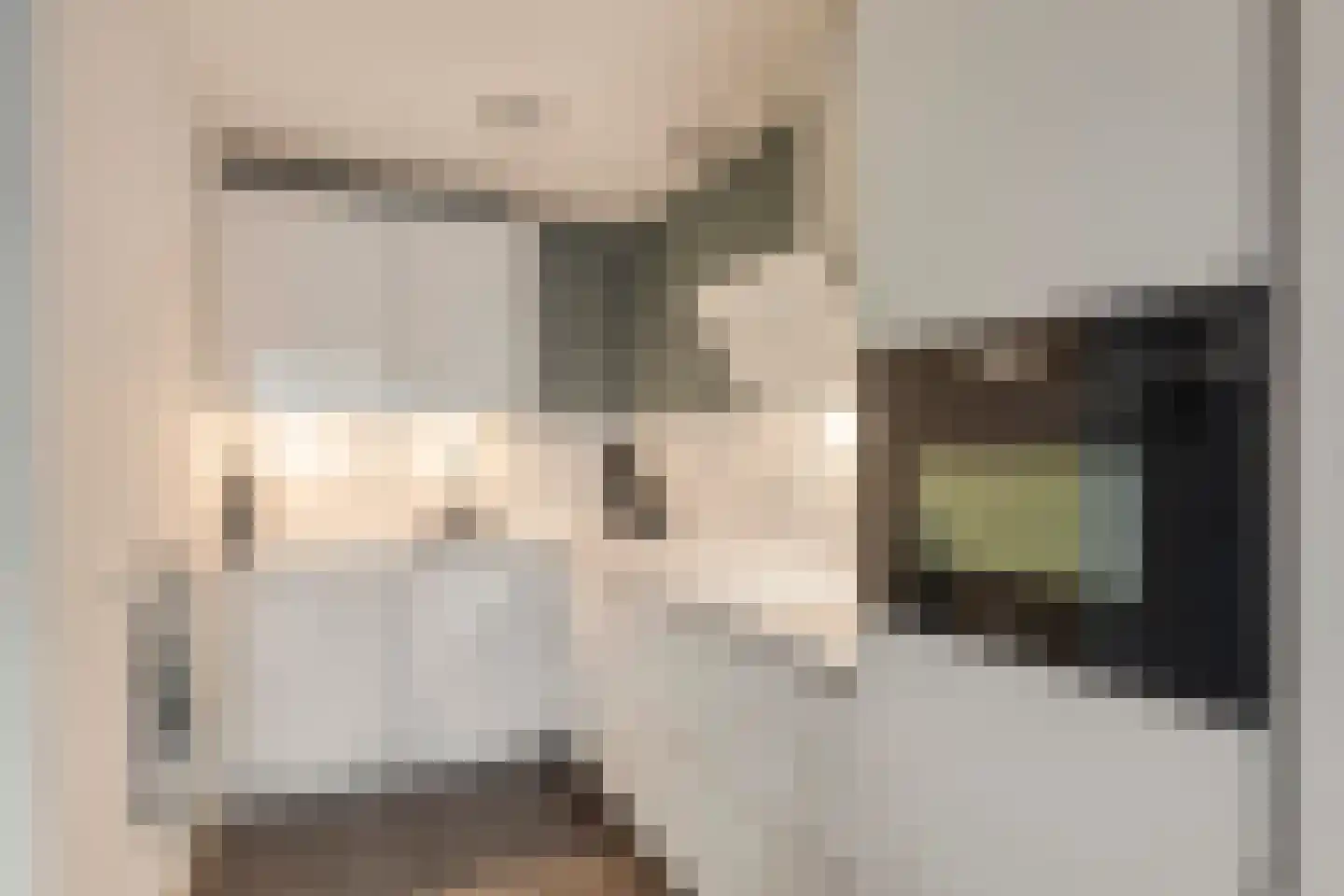 Methusalemplein 17 Eindhoven thumbnail 12