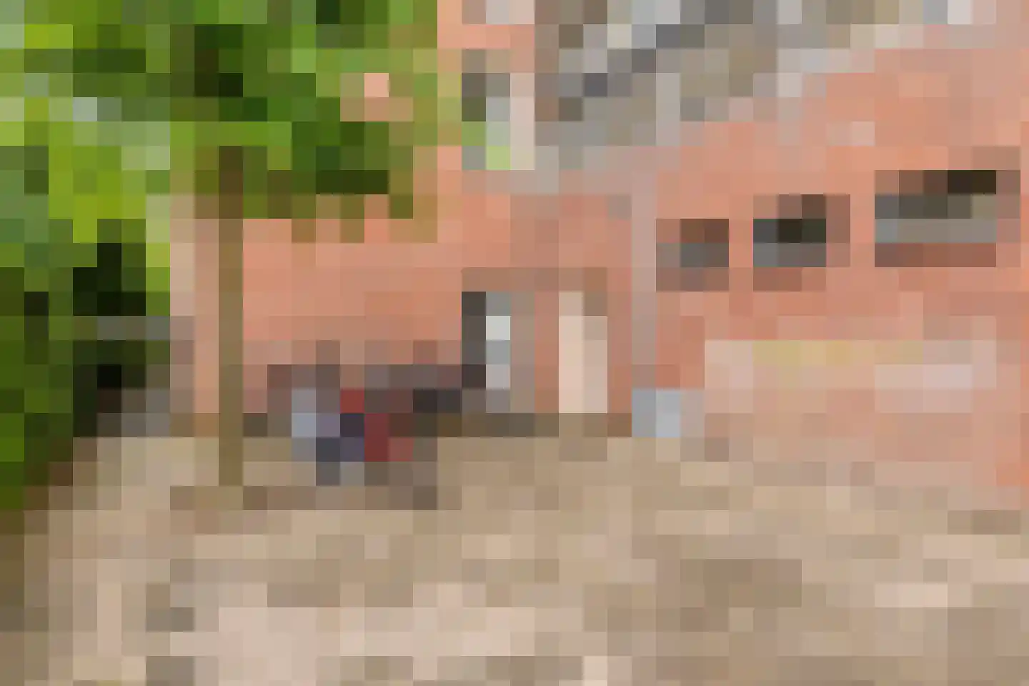 Methusalemplein 17 Eindhoven thumbnail 27