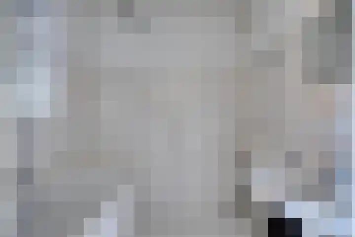 Methusalemplein 22 Eindhoven thumbnail 13