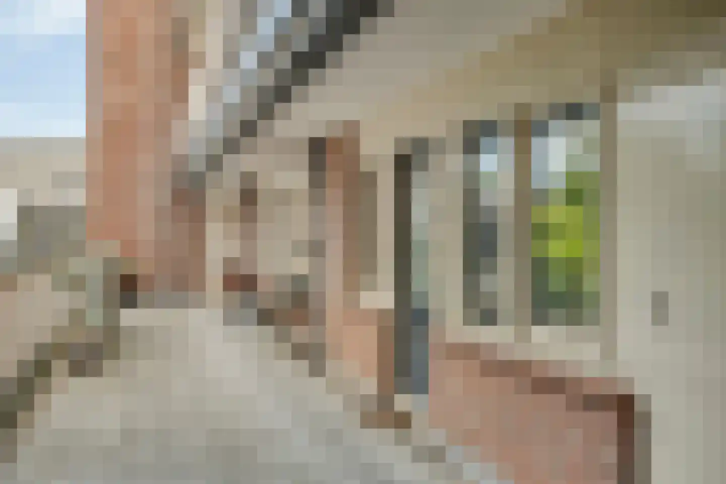 Methusalemplein 3 Eindhoven thumbnail 11