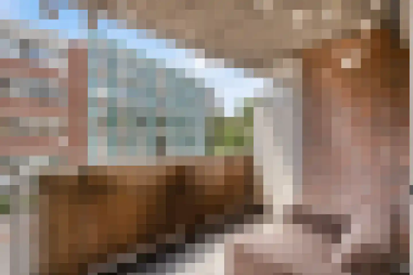 Methusalemplein 3 Eindhoven thumbnail 22