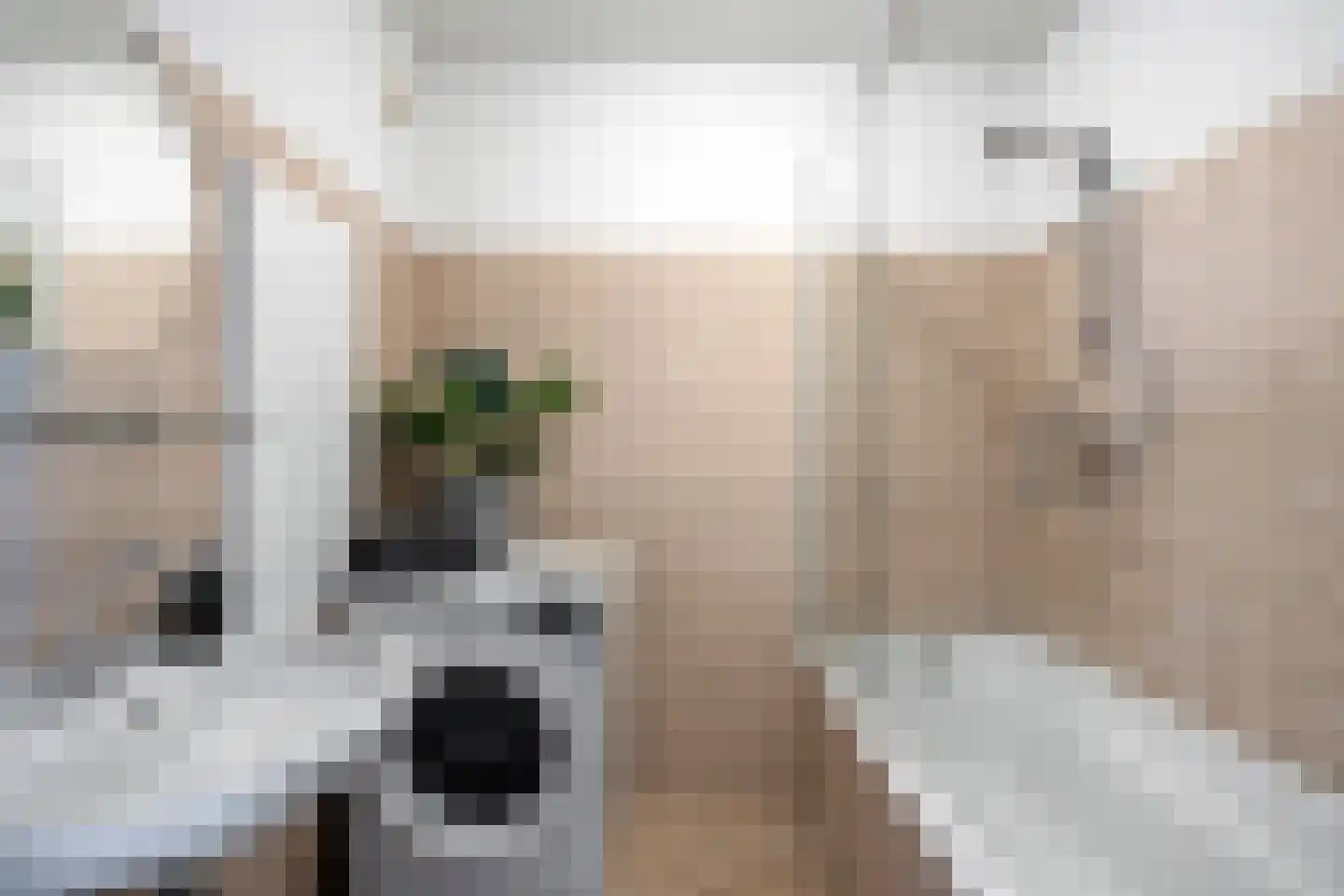 Methusalemplein 3 Eindhoven thumbnail 30