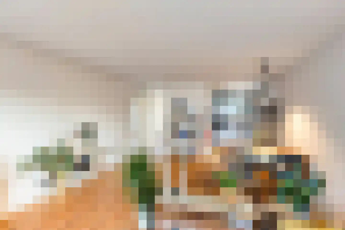 Methusalemplein 7 Eindhoven thumbnail 21