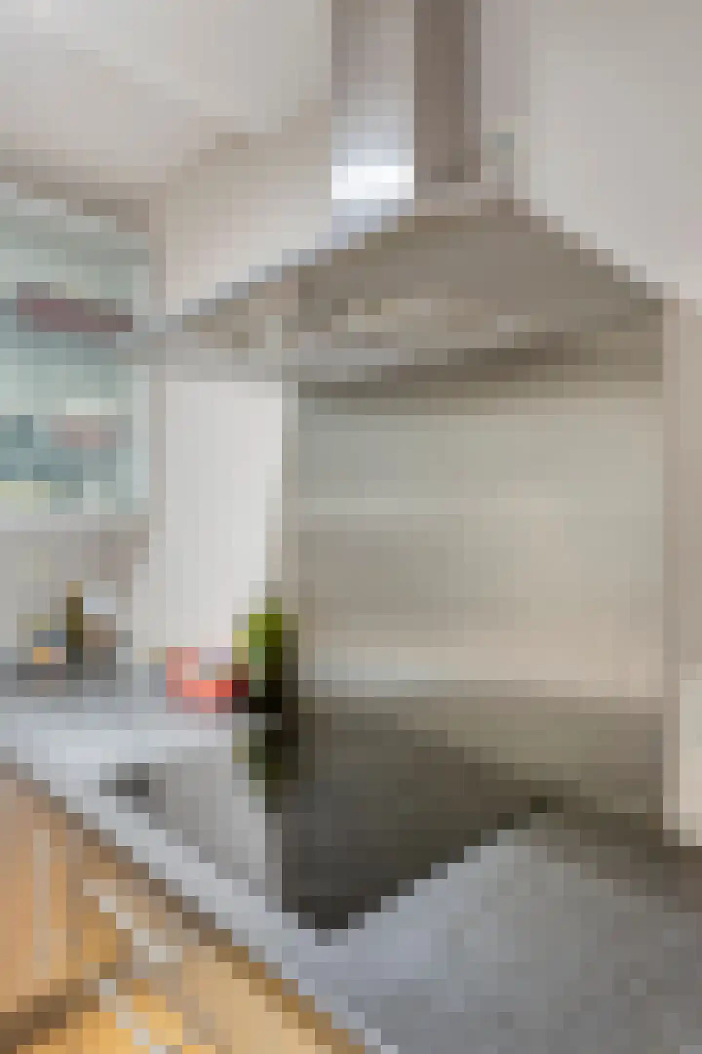 Methusalemplein 7 Eindhoven thumbnail 25