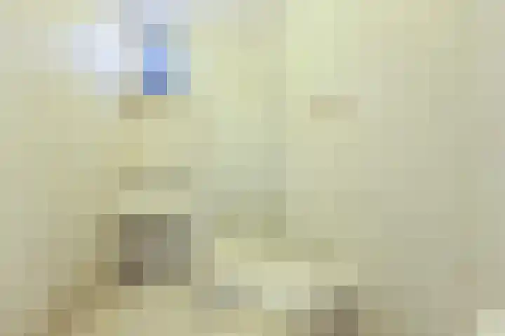 Metiusstraat 14 Alkmaar thumbnail 15