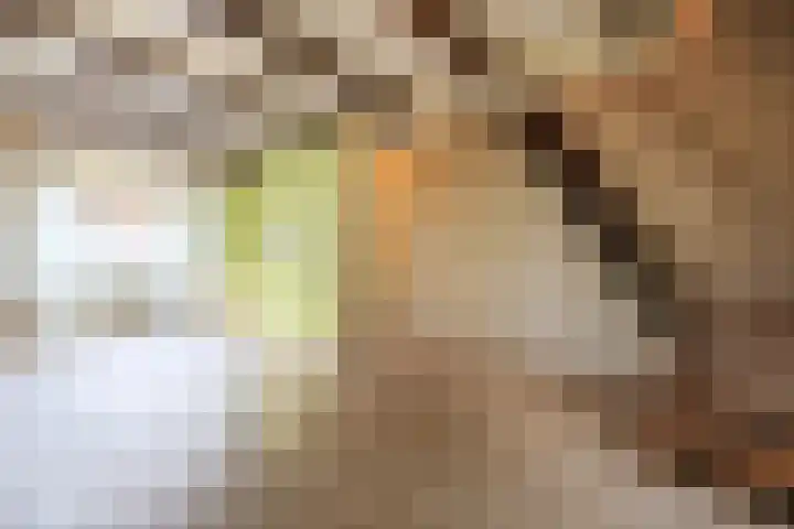 Metiusstraat 14 Alkmaar thumbnail 4
