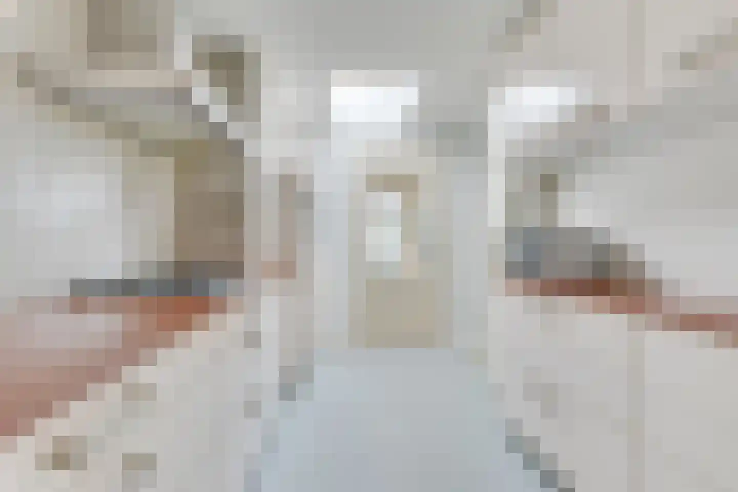 Metiusstraat 18 Heerhugowaard thumbnail 17