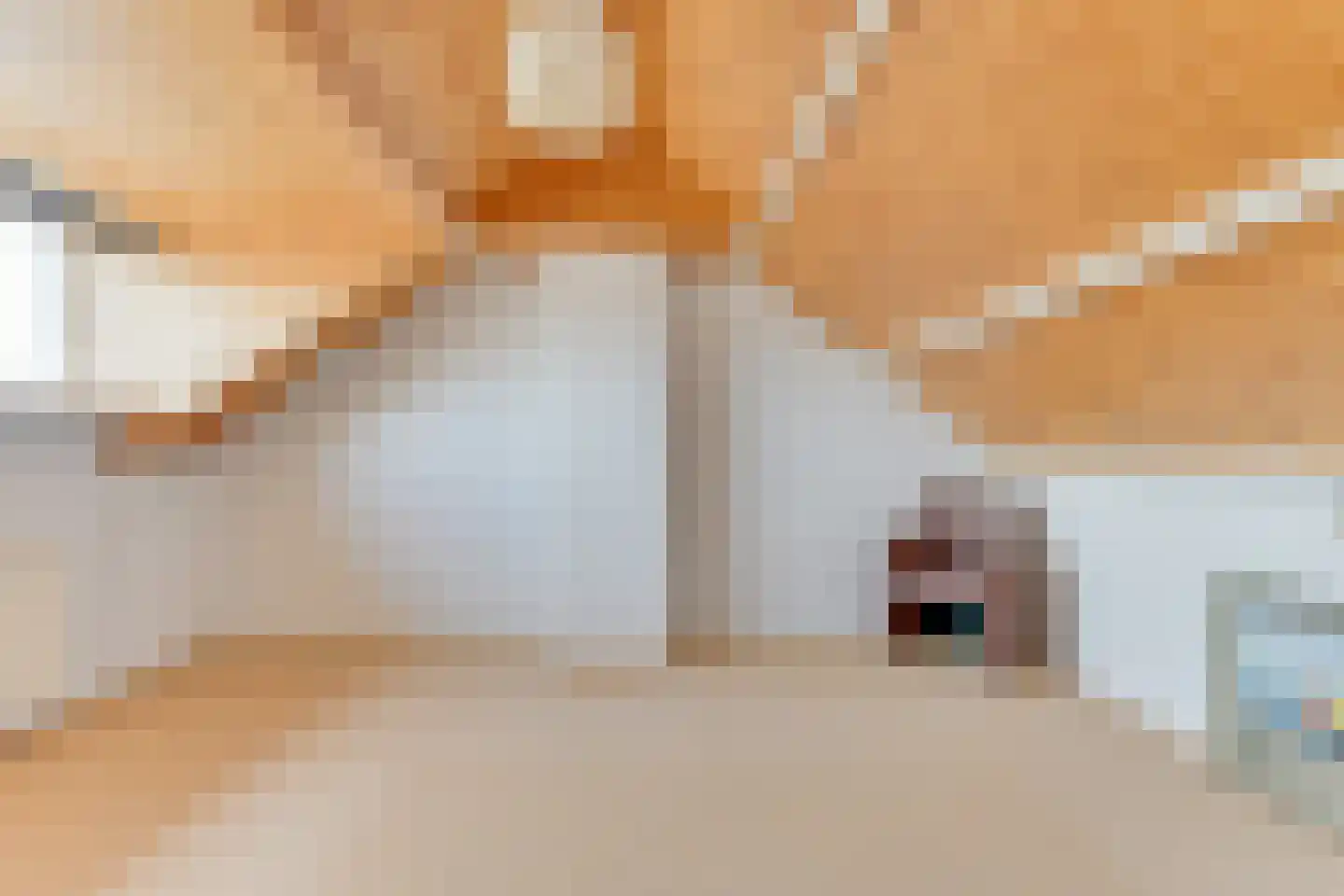 Metiusstraat 18 Heerhugowaard thumbnail 31