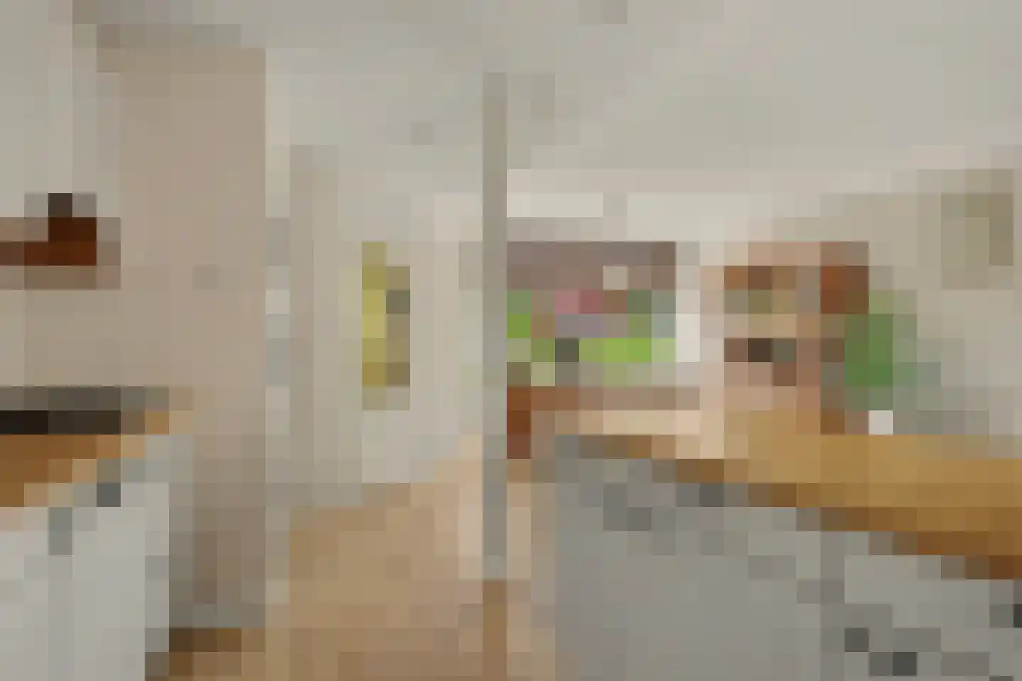 Metiusstraat 42 Heerhugowaard thumbnail 13