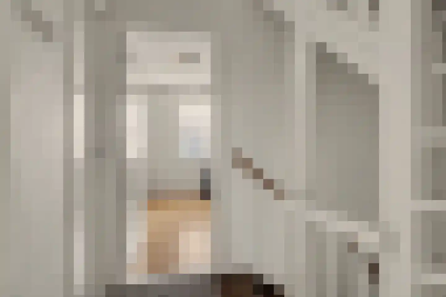 Metiusstraat 42 Heerhugowaard thumbnail 17