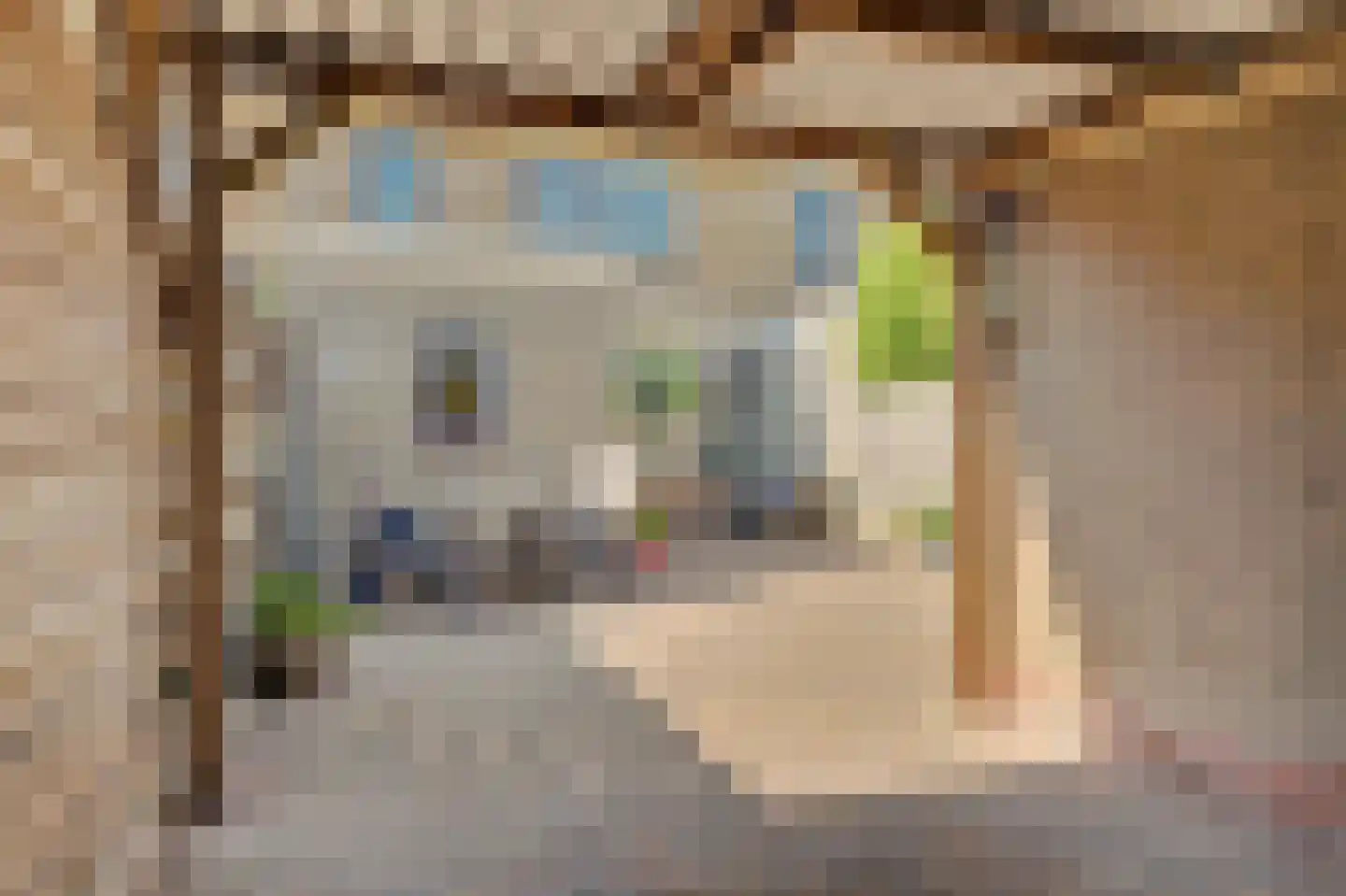 Metiusstraat 42 Heerhugowaard thumbnail 32