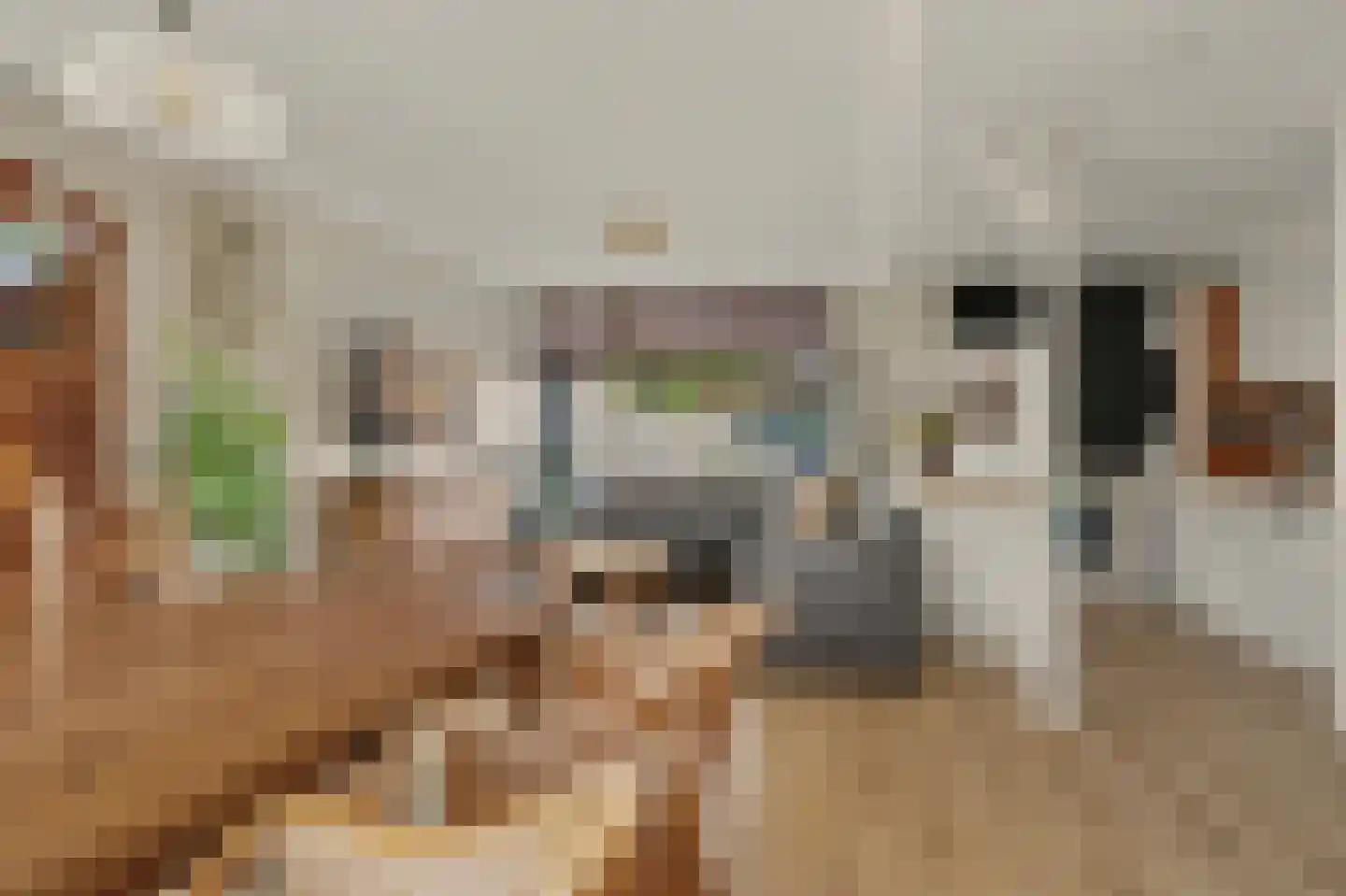 Metiusstraat 42 Heerhugowaard thumbnail 6
