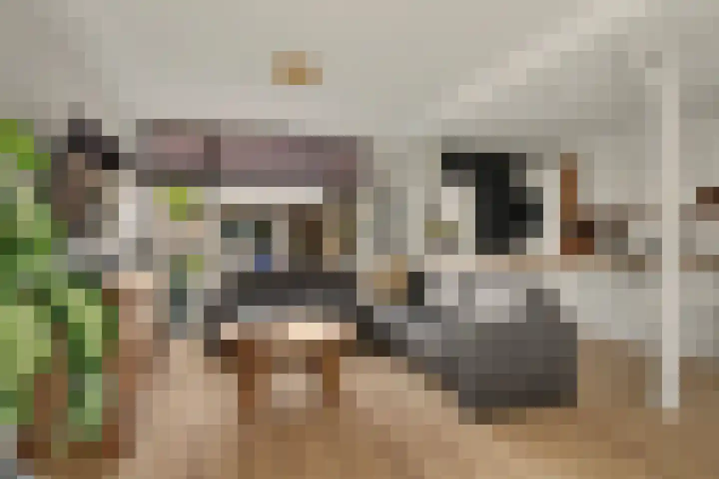Metiusstraat 42 Heerhugowaard thumbnail 8