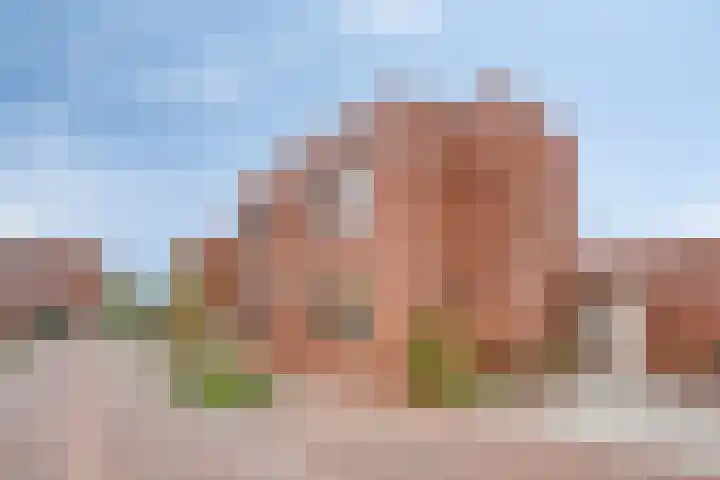 Metopestraat 5 Helmond thumbnail 35