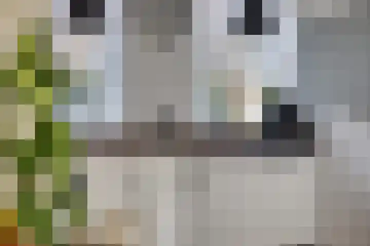 Metselaarsgilde 18 Dronten thumbnail 17