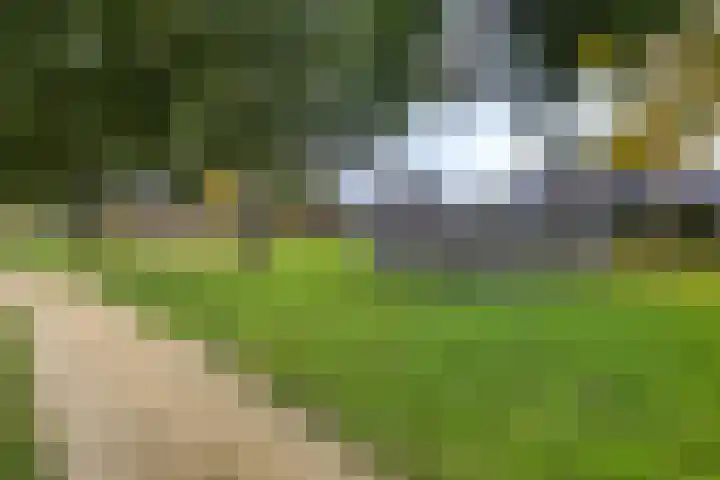 Metselaarsgilde 18 Dronten thumbnail 35