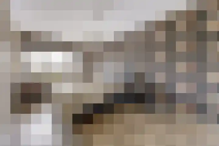 Metselaarsgilde 31 Dronten thumbnail 18