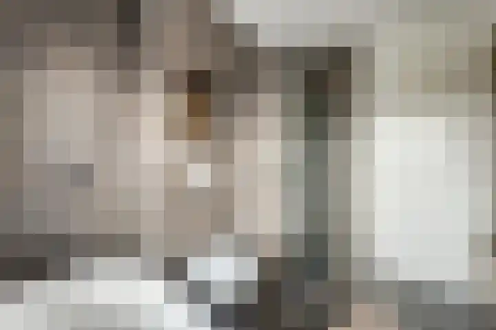 Metselaarsgilde 31 Dronten thumbnail 25