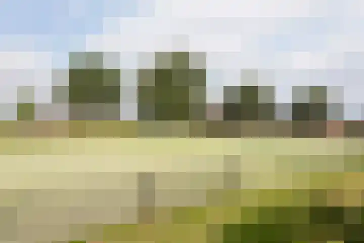 Metselaarsgilde 31 Dronten thumbnail 46