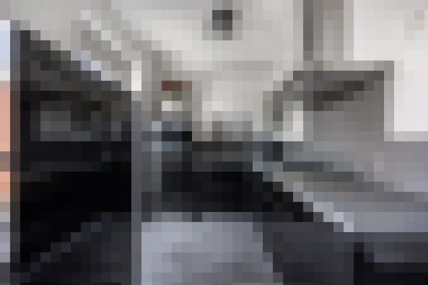 Metselaarsgilde 7 Dronten thumbnail 26