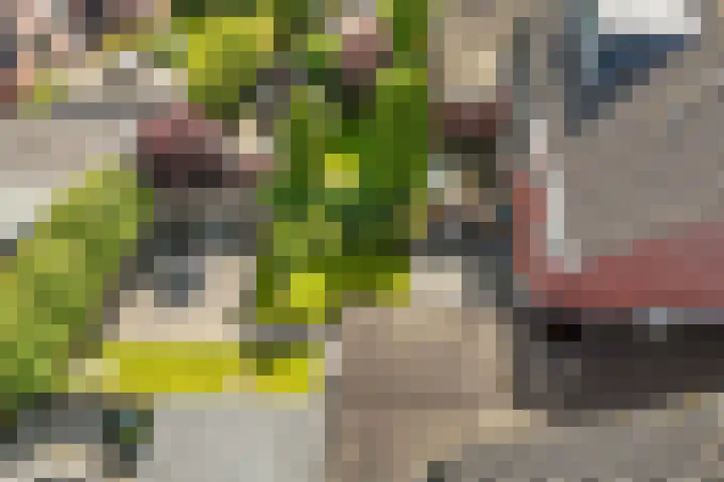 Metselaarsgilde 7 Dronten thumbnail 47