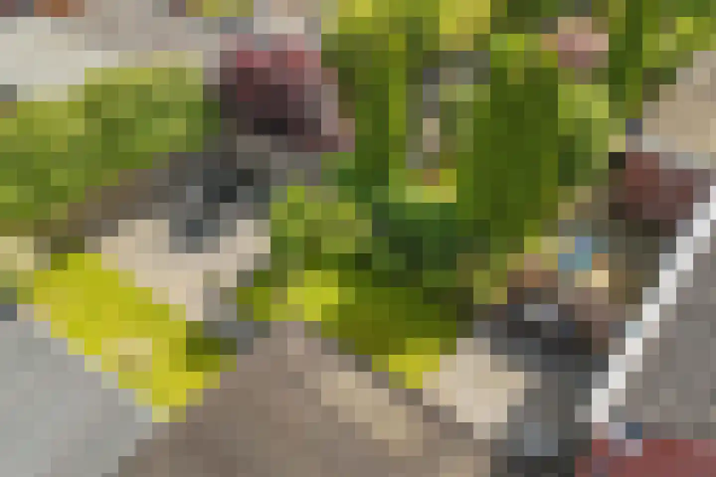 Metselaarsgilde 7 Dronten thumbnail 48