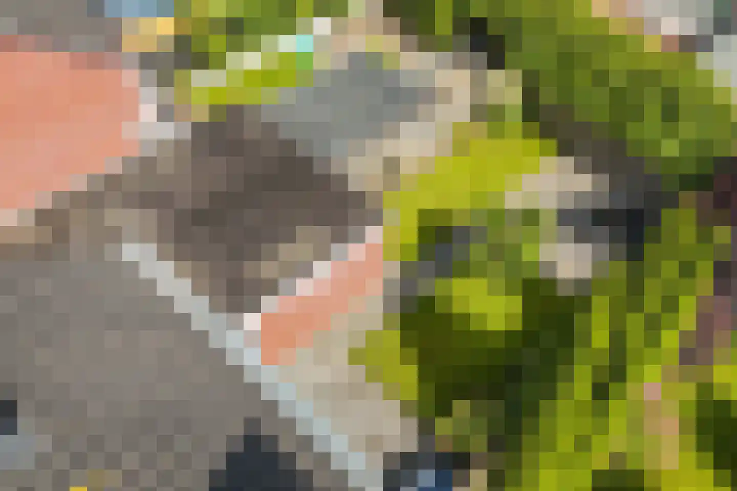 Metselaarsgilde 7 Dronten thumbnail 50