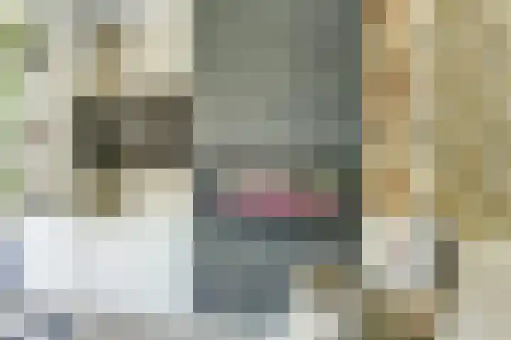 Metselaarsgilde 9 Dronten thumbnail 10