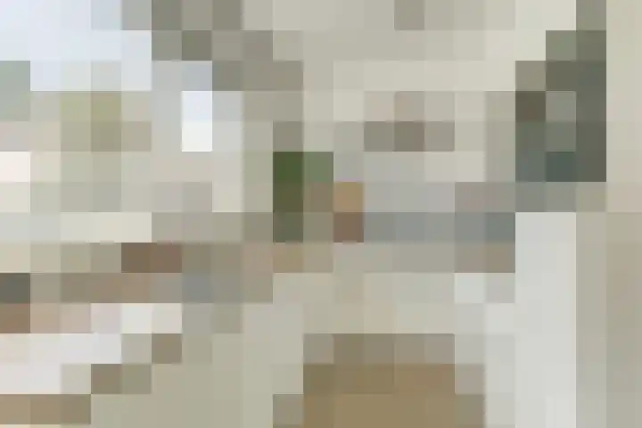 Metselaarsgilde 9 Dronten thumbnail 15