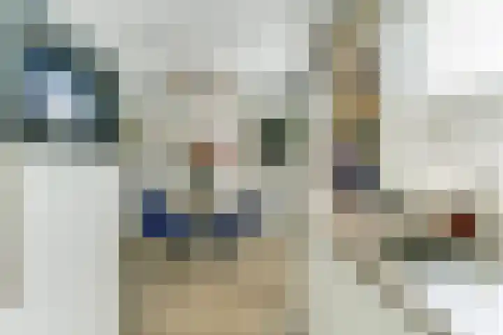 Metselaarsgilde 9 Dronten thumbnail 18