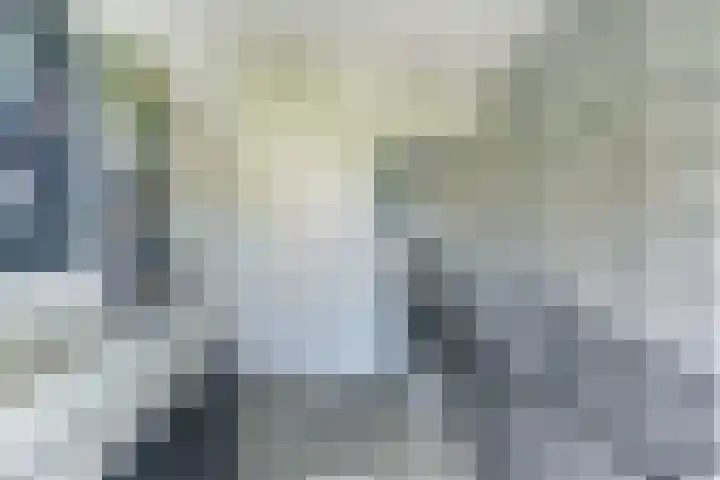 Metselaarsgilde 9 Dronten thumbnail 26