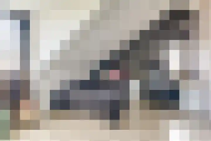 Metselaarsgilde 9 Dronten thumbnail 32