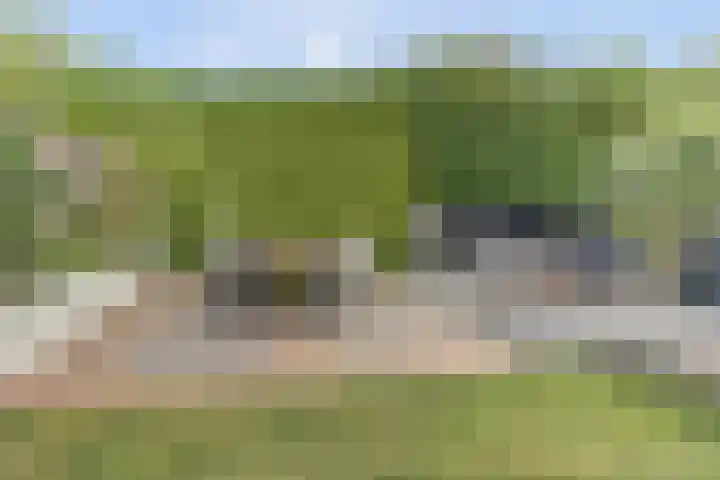 Metselaarsgilde 9 Dronten thumbnail 37